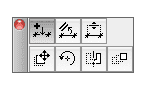 Dimensions Pet Palette