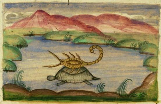 Tortoise_and_Scorpion