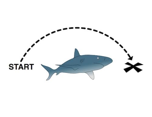 Jumping+the+Shark+Sm